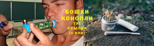 не бодяженный Бородино