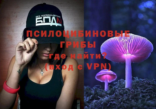 не бодяженный Бородино