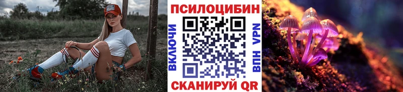 Купить закладки  Медногорск  Псилоцибиновые грибы Magic Shrooms 